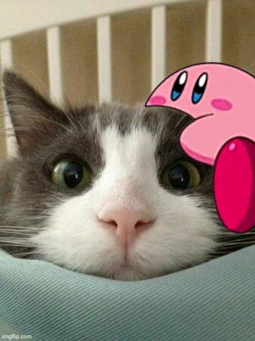 Kirby... | made w/ Imgflip meme maker