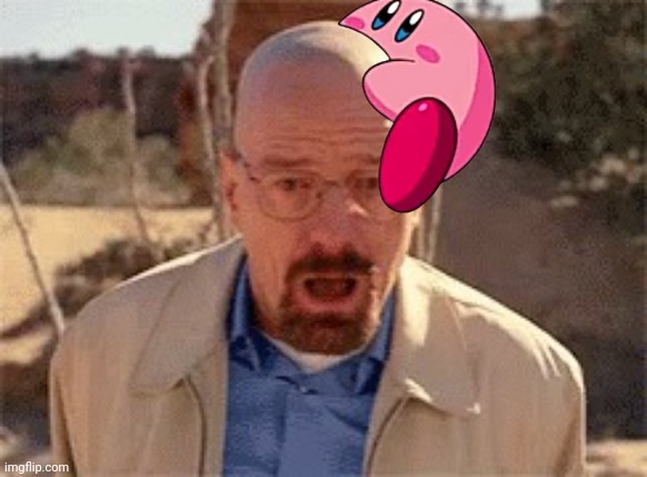Ok, I can't help but chuckle at this | image tagged in walter white | made w/ Imgflip meme maker