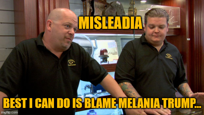 Best I can do | MISLEADIA BEST I CAN DO IS BLAME MELANIA TRUMP... | image tagged in best i can do | made w/ Imgflip meme maker