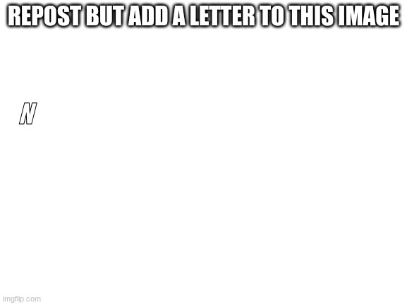 Blank White Template | REPOST BUT ADD A LETTER TO THIS IMAGE; N | image tagged in blank white template | made w/ Imgflip meme maker