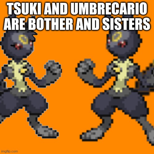 for the 10 views my announcement made | TSUKI AND UMBRECARIO ARE BOTHER AND SISTERS | image tagged in reveal | made w/ Imgflip meme maker