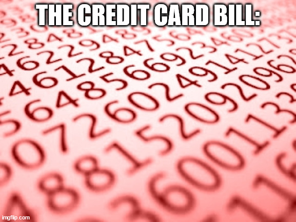 THE CREDIT CARD BILL: | made w/ Imgflip meme maker