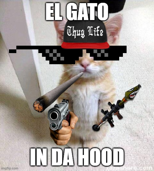 Cute Cat Meme | EL GATO; IN DA HOOD | image tagged in memes,cute cat,cool,blunt,thug life,cats | made w/ Imgflip meme maker