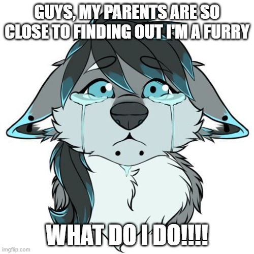 help me | GUYS, MY PARENTS ARE SO CLOSE TO FINDING OUT I'M A FURRY; WHAT DO I DO!!!! | image tagged in sad furry | made w/ Imgflip meme maker