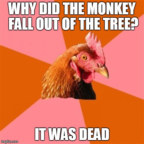 Anti Joke Chicken Meme | WHY DID THE MONKEY FALL OUT OF THE TREE? IT WAS DEAD | image tagged in memes,anti joke chicken | made w/ Imgflip meme maker