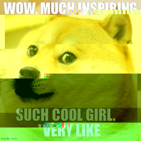 Doge Meme | WOW. MUCH INSPIRING SUCH COOL GIRL. VERY LIKE | image tagged in memes,doge | made w/ Imgflip meme maker