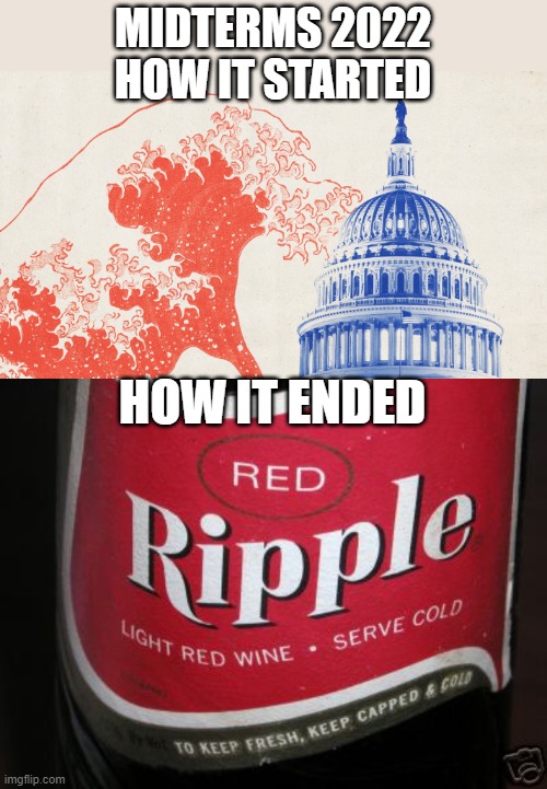 red wave | MIDTERMS 2022
HOW IT STARTED; HOW IT ENDED | image tagged in midterms,2022 | made w/ Imgflip meme maker