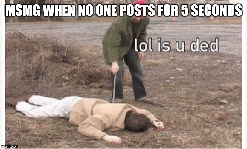 Lol is u ded | MSMG WHEN NO ONE POSTS FOR 5 SECONDS | image tagged in lol is u ded | made w/ Imgflip meme maker