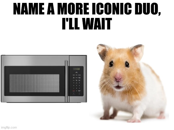 NAME A MORE ICONIC DUO,
I'LL WAIT | image tagged in name a more iconic duo,dark humor | made w/ Imgflip meme maker
