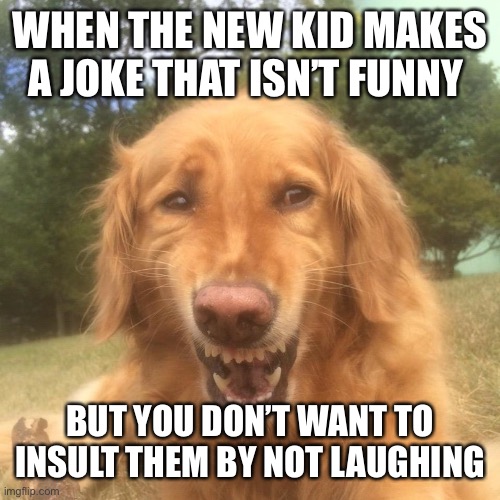 Awkward laugh dog | WHEN THE NEW KID MAKES A JOKE THAT ISN’T FUNNY; BUT YOU DON’T WANT TO INSULT THEM BY NOT LAUGHING | image tagged in awkward laugh dog | made w/ Imgflip meme maker
