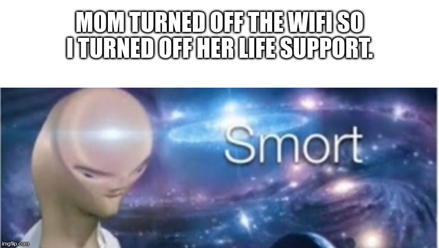 Very smort yes. | MOM TURNED OFF THE WIFI SO I TURNED OFF HER LIFE SUPPORT. | image tagged in blank white template,meme man smort | made w/ Imgflip meme maker