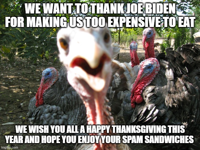 Joe Biden hero of Turkey kind | WE WANT TO THANK JOE BIDEN FOR MAKING US TOO EXPENSIVE TO EAT; WE WISH YOU ALL A HAPPY THANKSGIVING THIS YEAR AND HOPE YOU ENJOY YOUR SPAM SANDWICHES | image tagged in turkeys,turkey kind,bidenflation,thanksgiving,spam sandwiches,you have nothing to be thankful for | made w/ Imgflip meme maker