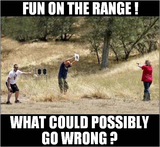 The Darwin Competitor Is In The Blue Shirt ! | FUN ON THE RANGE ! WHAT COULD POSSIBLY
GO WRONG ? | image tagged in darwin awards,shooting,what could go wrong,dark humour | made w/ Imgflip meme maker