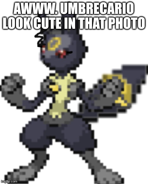 tsuki | AWWW. UMBRECARIO LOOK CUTE IN THAT PHOTO | image tagged in tsuki | made w/ Imgflip meme maker