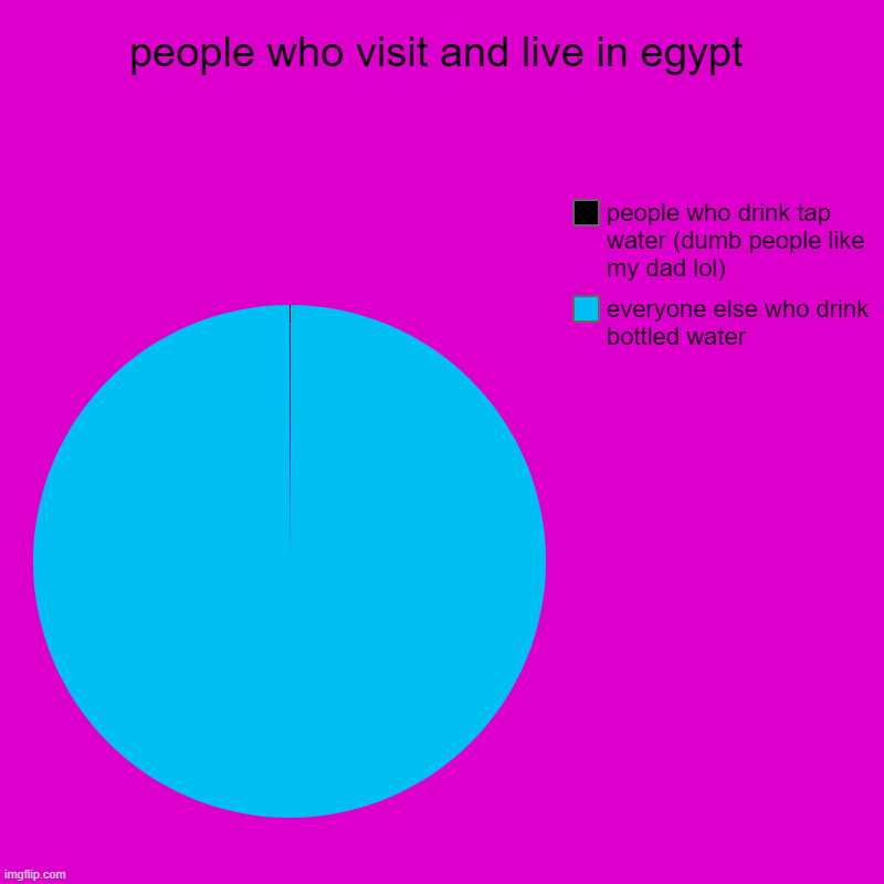 water in egypt | people who visit and live in egypt | everyone else who drink bottled water, people who drink tap water (dumb people like my dad lol) | image tagged in charts,pie charts | made w/ Imgflip chart maker