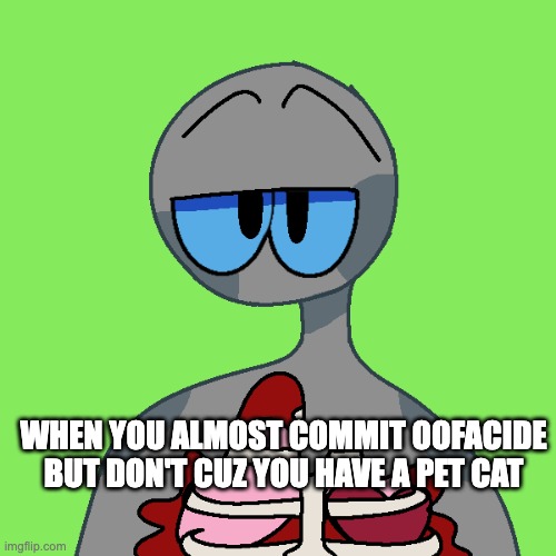 WHEN YOU ALMOST COMMIT OOFACIDE BUT DON'T CUZ YOU HAVE A PET CAT | made w/ Imgflip meme maker