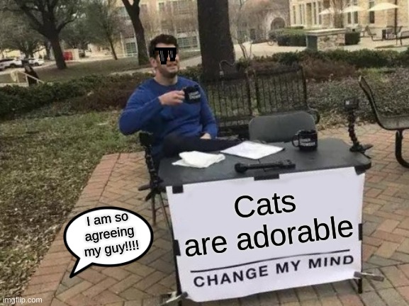 Change My Mind Meme | Cats are adorable; I am so agreeing my guy!!!! | image tagged in memes,change my mind | made w/ Imgflip meme maker