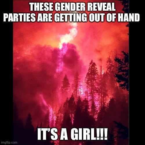 It’s a girl!!! | THESE GENDER REVEAL PARTIES ARE GETTING OUT OF HAND; IT’S A GIRL!!! | image tagged in gender reveal,wildfires,california fires | made w/ Imgflip meme maker