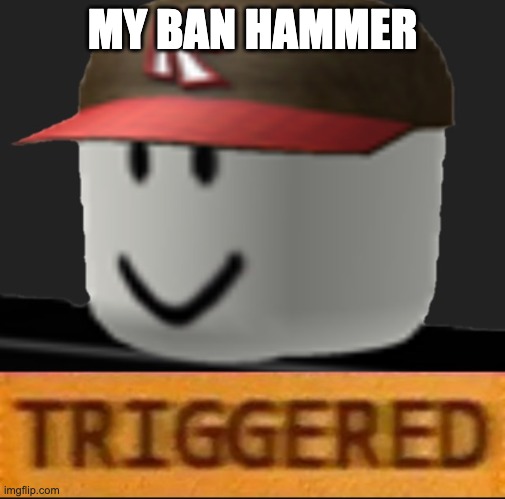 Roblox Triggered | MY BAN HAMMER | image tagged in roblox triggered | made w/ Imgflip meme maker