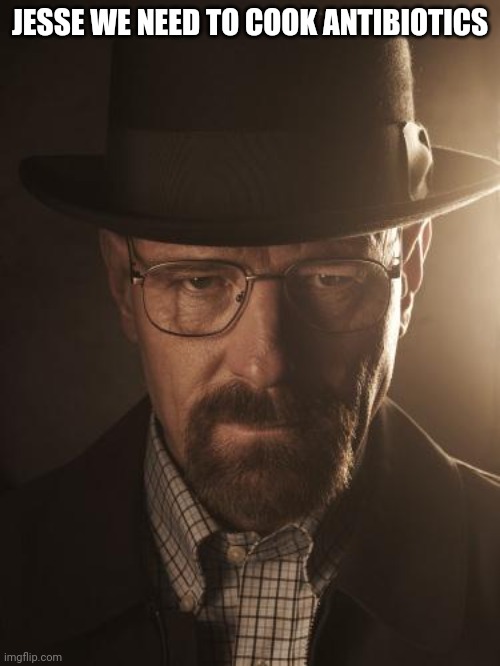 Walter White | JESSE WE NEED TO COOK ANTIBIOTICS | image tagged in walter white | made w/ Imgflip meme maker