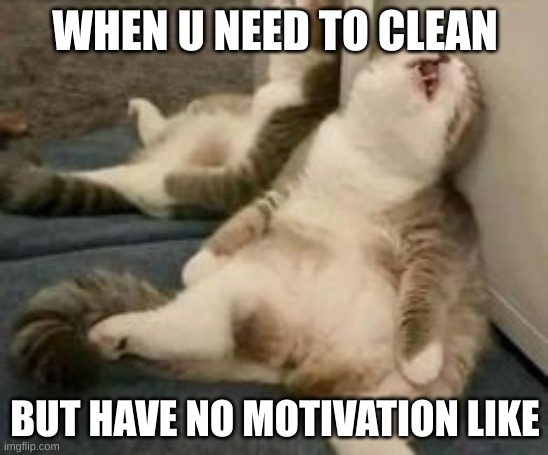 Tired cat | WHEN U NEED TO CLEAN; BUT HAVE NO MOTIVATION LIKE | image tagged in tired cat | made w/ Imgflip meme maker