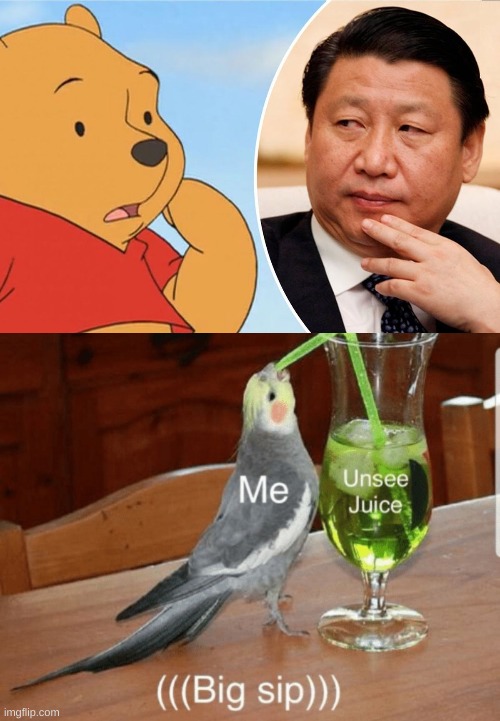 image tagged in winnie the pooh chinese president,unsee juice | made w/ Imgflip meme maker