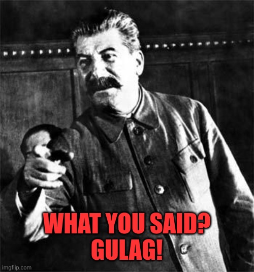 Stalin | WHAT YOU SAID?
GULAG! | image tagged in stalin | made w/ Imgflip meme maker