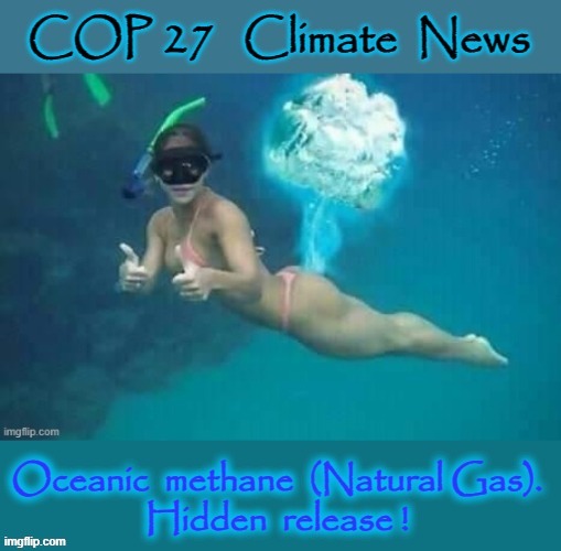 COP 27 Info | image tagged in climate change | made w/ Imgflip meme maker