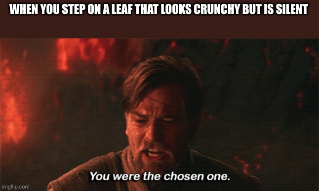 sad | WHEN YOU STEP ON A LEAF THAT LOOKS CRUNCHY BUT IS SILENT | image tagged in you were the chosen one | made w/ Imgflip meme maker