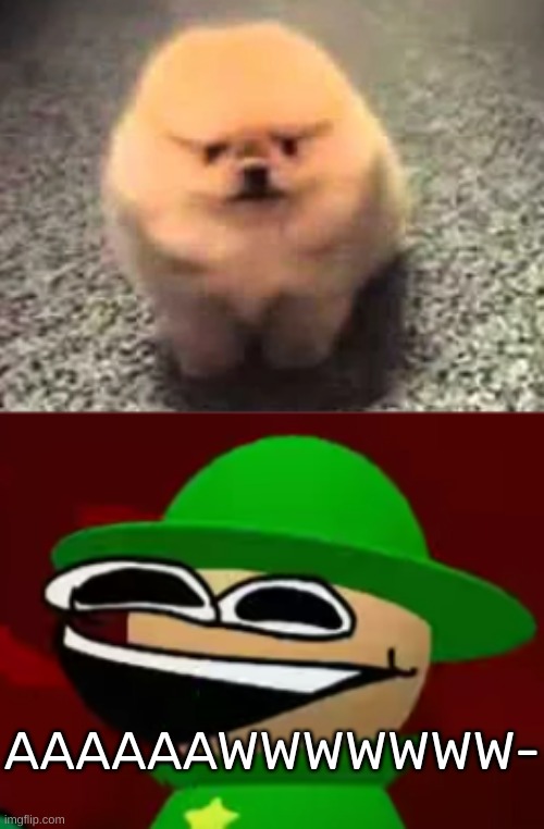 IT'S SO CUTE- | AAAAAAWWWWWWW- | image tagged in bandu but he's laughing his a s off,idk,stuff,s o u p,carck | made w/ Imgflip meme maker