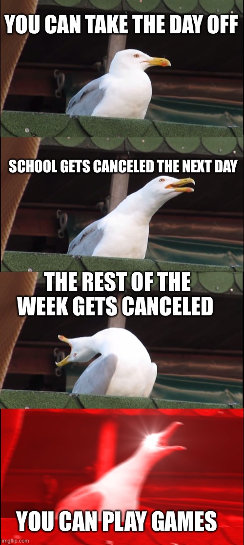 Good day | YOU CAN TAKE THE DAY OFF; SCHOOL GETS CANCELED THE NEXT DAY; THE REST OF THE WEEK GETS CANCELED; YOU CAN PLAY GAMES | image tagged in memes,inhaling seagull | made w/ Imgflip meme maker