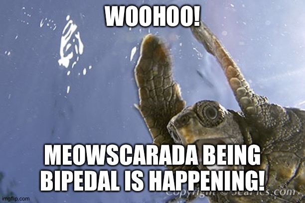 WooHoo turtle  | WOOHOO! MEOWSCARADA BEING BIPEDAL IS HAPPENING! | image tagged in woohoo turtle | made w/ Imgflip meme maker