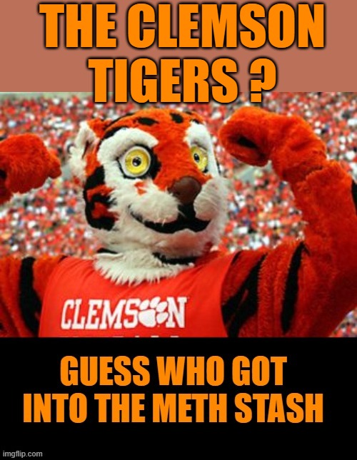THE CLEMSON TIGERS ? | made w/ Imgflip meme maker