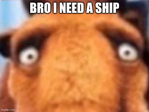 distressed manfred | BRO I NEED A SHIP | image tagged in distressed manfred | made w/ Imgflip meme maker