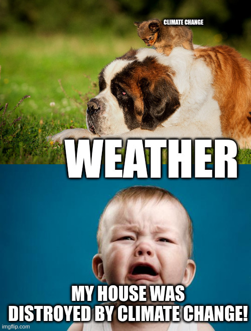 Why does the radical left blame weather on climate change? | image tagged in baby crying,big dog little dog,sleepy joe,greta thunberg | made w/ Imgflip meme maker