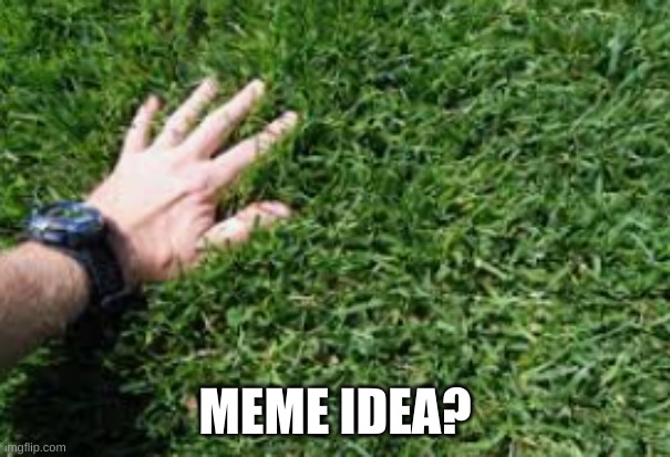 MEME IDEA? | image tagged in memes,grass,funny | made w/ Imgflip meme maker