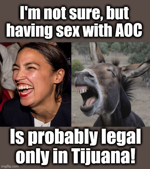 AOC DONKEY | I'm not sure, but
having sex with AOC Is probably legal
only in Tijuana! | image tagged in aoc donkey | made w/ Imgflip meme maker