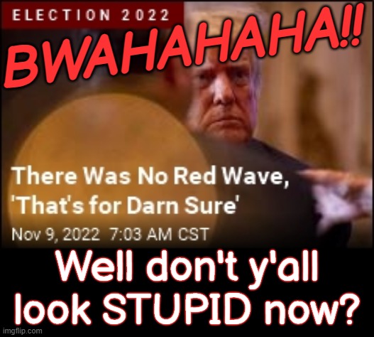 yes you do...SNAFU | BWAHAHAHA!! Well don't y'all
look STUPID now? | image tagged in red,wave,delusion,hahahahaha,idiot,morons | made w/ Imgflip meme maker