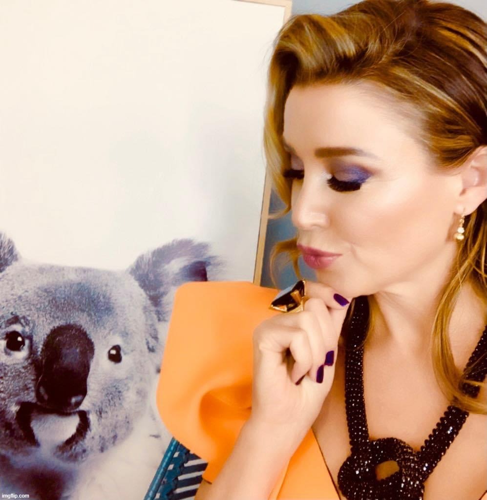 Dannii koala | image tagged in dannii koala | made w/ Imgflip meme maker