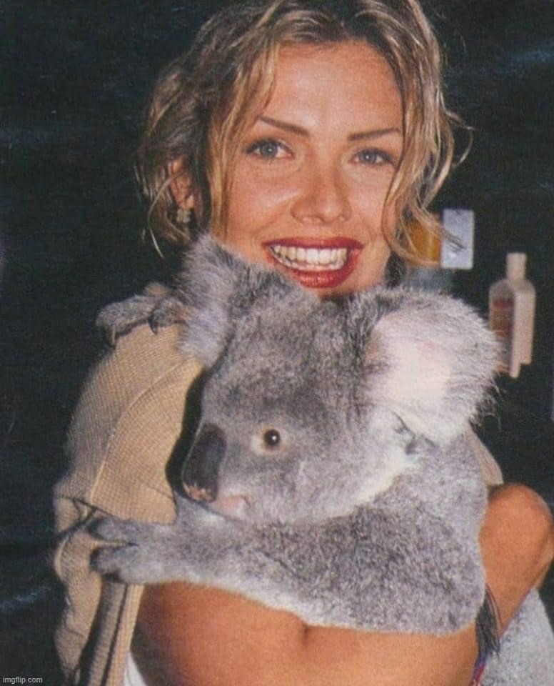 Kim Wilde and koala | image tagged in kim wilde and koala | made w/ Imgflip meme maker