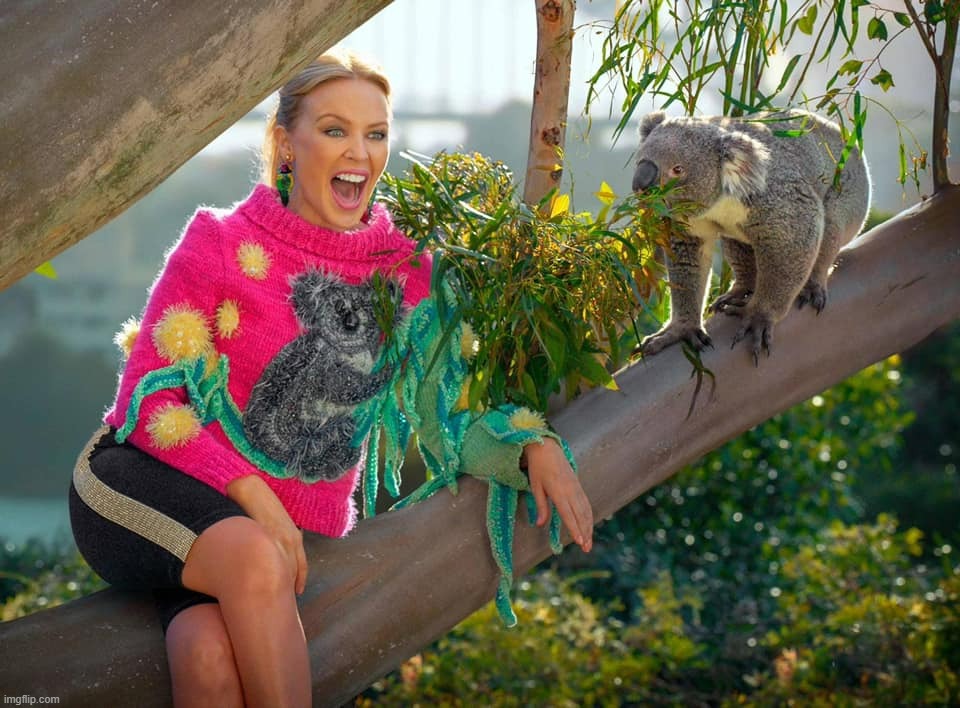 Kylie Koala | image tagged in kylie koala | made w/ Imgflip meme maker