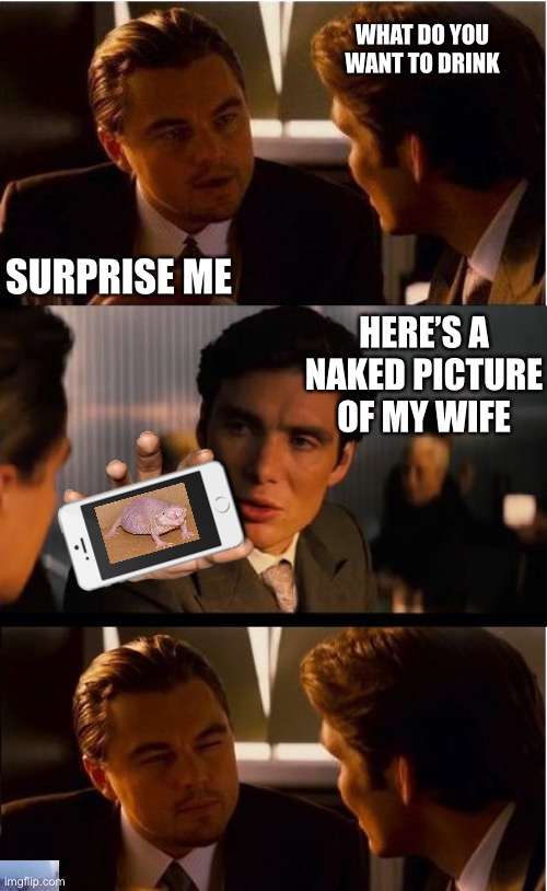 Inception | WHAT DO YOU WANT TO DRINK; SURPRISE ME; HERE’S A NAKED PICTURE OF MY WIFE | image tagged in memes,inception | made w/ Imgflip meme maker