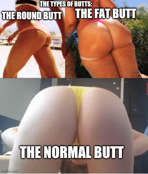 The types of butts (comment wich one do you have/add a photo) | THE FAT BUTT; THE TYPES OF BUTTS:; THE ROUND BUTT; THE NORMAL BUTT | image tagged in butt | made w/ Imgflip meme maker