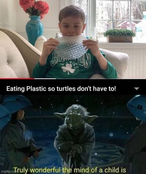 truly wonderful, the mind of a child is | image tagged in truly wonderful the mind of a child is,yoda,plastic,turtles | made w/ Imgflip meme maker