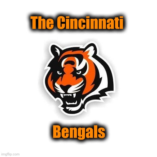 Cincinnati Bengals | The Cincinnati Bengals | image tagged in cincinnati bengals | made w/ Imgflip meme maker