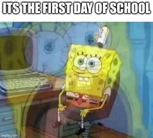 Internal screaming | ITS THE FIRST DAY OF SCHOOL | image tagged in internal screaming | made w/ Imgflip meme maker