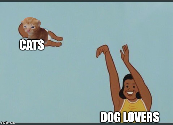 Why... | CATS; DOG LOVERS | image tagged in baby yeet | made w/ Imgflip meme maker