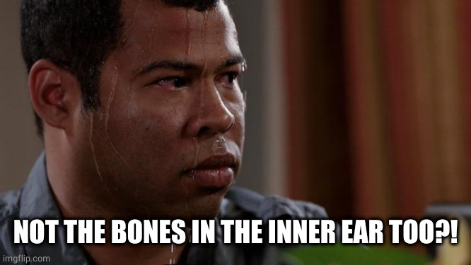 Key and peele | NOT THE BONES IN THE INNER EAR TOO?! | image tagged in key and peele | made w/ Imgflip meme maker
