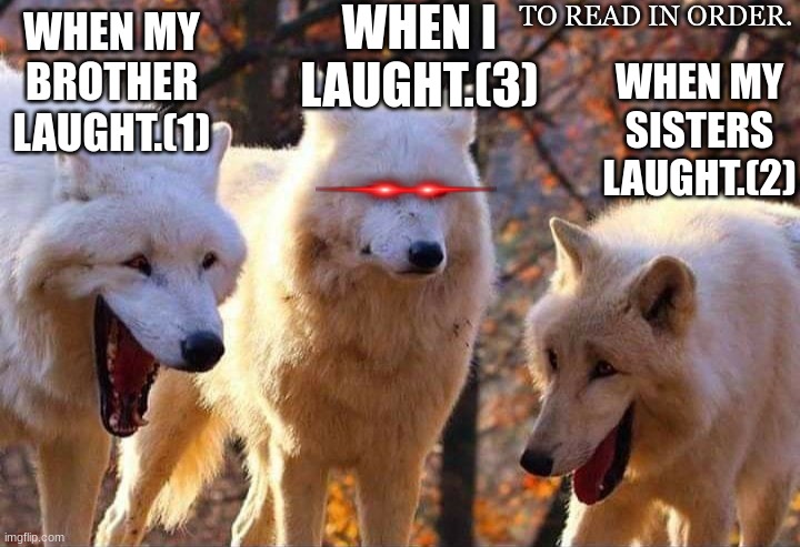 Laughing wolf | WHEN I LAUGHT.(3); TO READ IN ORDER. WHEN MY BROTHER LAUGHT.(1); WHEN MY SISTERS LAUGHT.(2) | image tagged in laughing wolf | made w/ Imgflip meme maker