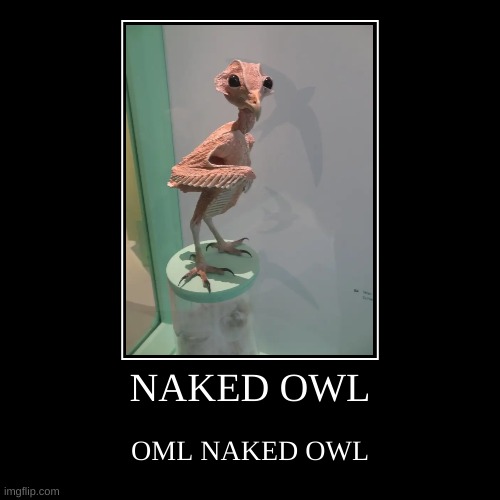 N A K E D O W L | NAKED OWL | OML NAKED OWL | image tagged in funny,demotivationals,oml,lol,omg,xd | made w/ Imgflip demotivational maker